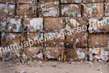 Giá giấy vụn hôm nay Phế liệu 24H thu mua bao nhiêu tiền 1Kg?