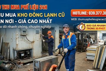 Thu mua kho đông lạnh cũ tận nơi, báo giá nhanh trong 30 phút