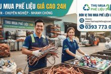 Cách Chọn Đơn Vị Thu Mua Phế Liệu Uy Tín, Tránh Bị Ép Giá